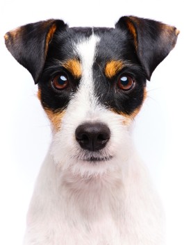 Niels Franke Photography