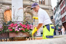 Niels Franke Photography