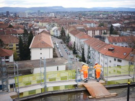 Niels Franke Photography