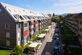 Niels Franke Photography