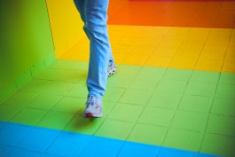 Niels Franke Photography