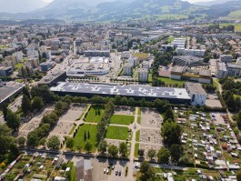 Niels Franke Photography