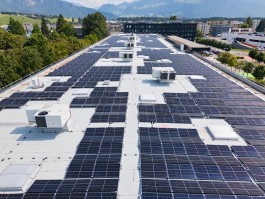 Niels Franke Photography