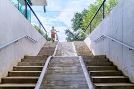 Niels Franke Photography