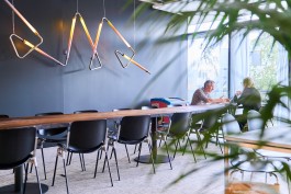 Niels Franke Photography