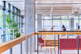 Niels Franke Photography