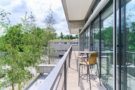 Niels Franke Photography