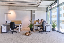 Niels Franke Photography