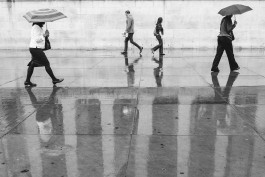 Niels Franke Photography