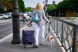 Niels Franke Photography