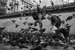 Niels Franke Photography