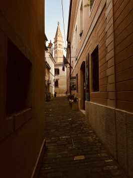 Niels Franke Photography