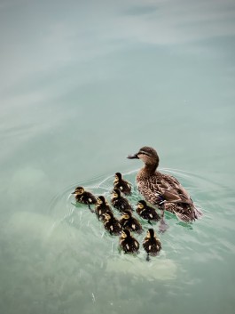 Niels Franke Photography