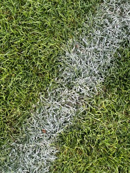 Niels Franke Photography