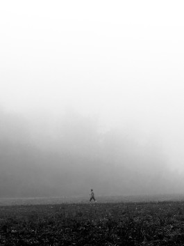 Niels Franke Photography