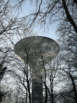 Niels Franke Photography