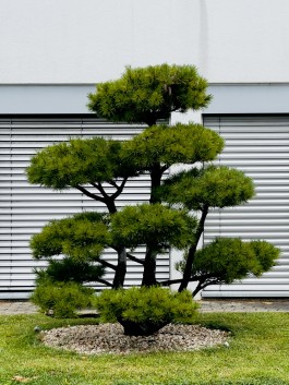 Niels Franke Photography