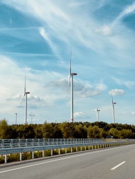 Niels Franke Photography