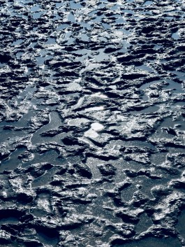 Niels Franke Photography