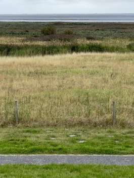 Niels Franke Photography