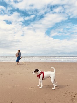 Niels Franke Photography