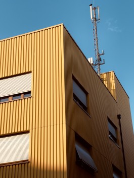 Niels Franke Photography