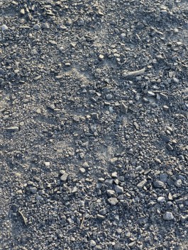 Niels Franke Photography