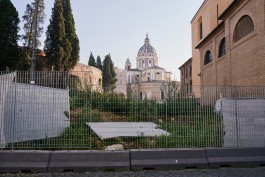 Niels Franke Photography